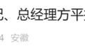 原副总经理被查不足两月，安徽一省属国企原总经理落马
