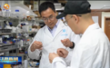 兰州科研团队研发出高弹性材料　灵感来自蜻蜓翅膀