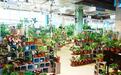长春惊现“植物科幻城”！8000㎡雨林沙漠里吃饭遛猫，未来感拉满