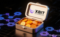 政策转向激活美元币杠杆热度，XBIT 技术赋能交易体验升级