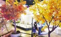 不止于购，更可打卡、疗愈、休憩……南昌商业“新场景”激活消费新活力