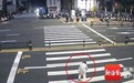 海口警方公布轿车在斑马线撞死老人事故调查结果：司机未减速让行