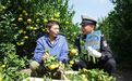 秋收“警”相随 新余交警护航秋收平安路！