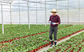 即墨区推动农业高质量发展 强化科技赋能和人才支撑