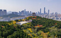 秋色正浓，济南大山坡公园变身“城市调色盘”
