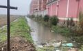 保山市一乡镇小学旁的河道有死猪漂浮 镇政府：已派人到现场处理