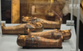 图坦卡蒙宝藏现身：记者带您探访大埃及博物馆