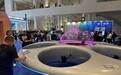 外形酷似UFO 全球首款载人飞碟亮相本届高交会8号馆