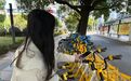 11月15日起南昌红谷滩全面取消共享电单车 共享自行车开始投放