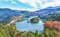 庐山如琴湖“枫景”醉游人（图）