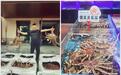 金梧桐丨老宋蟹馆