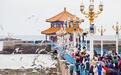 山海有情  青岛有请——来自青岛的新春邀约