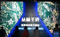 “丛林圣殿——墨西哥玛雅文明展”在石家庄开幕