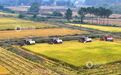 江西承包地再延30年 计划2026年启动整省试点