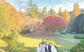庐山：五彩斑斓赏“枫”景（图）