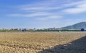 让每一亩地都能卖个好价，万宁农村产权交易让土地“活”起来