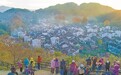 婺源县：晨雾缭绕 如梦如幻（图）