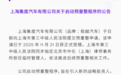 极越汽车母公司上海集度启动预重整