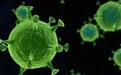 科学防治流感：关注耐药现象，重视中西医协同