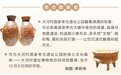 大河汤汤 文明永续——大河村国家考古遗址公园今日开园