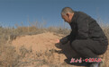 风沙区为啥不见沙　老林业人三十载充"植"故事给你答案