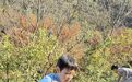 拾“圾”而上 他们把环保课堂搬进山林