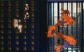 金梧桐丨世博轩.甬府（世博中心店）