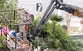 南昌青山湖区一广场因燃气施工致下水道盖板破损，老人小孩接连摔倒，塘山镇政府回应