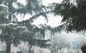 大风降温雨雪、局地暴雪！陕西最新预报