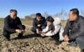 甘肃灵台攥紧“种业芯片”　让冬小麦落地生金