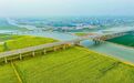 一朵油菜花的“跨界”生长