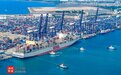政策红利释放 枢纽能级跃升：洋浦港“驶入”自贸港建设“快航道”
