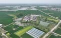 安徽阜南：曹集利民村：昔日水患地 今朝产业兴