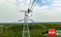海南电力“大动脉”正式成环！500千伏主网架工程投产
