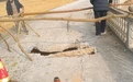 庐山市蓼南乡：产业结硕果 收益惠民生