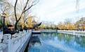 柳轻垂、锦鲤欢游 冬日济南珍珠泉美如画卷