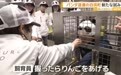 旅日大熊猫回国后，日本动物园“神操作”：由人扮演大熊猫供游客体验互动