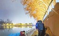 “一夜寒风，湖边竟能这么干净？”3名九江市民20余天夜扫李公堤