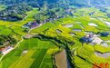 湖南：粮仓更稳 乡村更兴