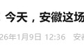 全年接警2250万余起！安徽公安110成绩单发布