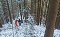 惊险！贵州游客庐山赏雪误入野路被困，消防员踏雪破冰救援