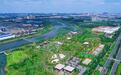 岸绿景美、宜居宜业！山东2条河流上榜2025年全国幸福河湖