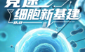 竞速“细胞新基建”