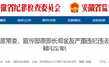 安徽省纪委监委通报！