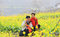 甘肃文县油菜花开醉游人