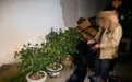 莫以恶小而为之！景德镇一男子偷了三盆花被抓