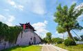 5年！富阳这座“活化石”被全国关注