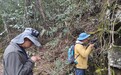 新记录的苔藓类群，如何破译江西生态持续向好微观密码？