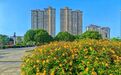 全年75万盆花卉轮替！看分宜如何实现“步步见景”的城市生态美学