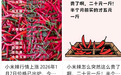 20元/斤上下！南昌小米椒“身价”上涨 比猪肉还贵